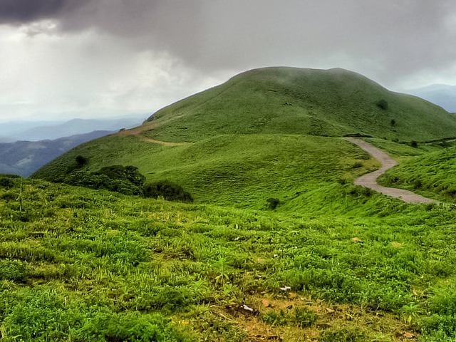 coorg